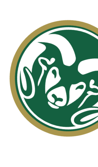 Home – Accountant